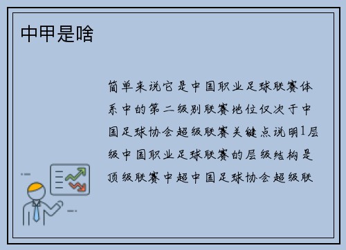 中甲是啥